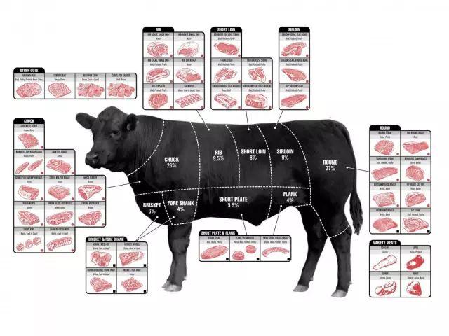 牛排指南牛排牛肉切割部位知识全攻略