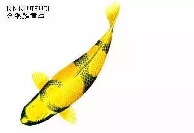 ʷȫĽתˣ