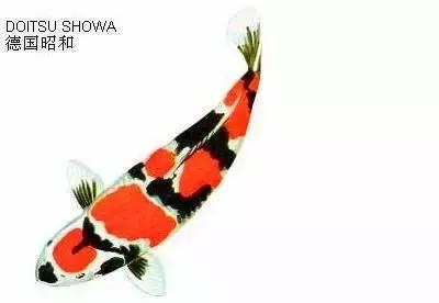 ʷȫĽתˣ