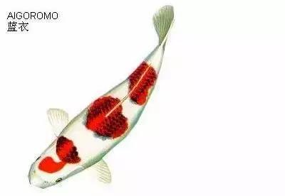ʷȫĽתˣ