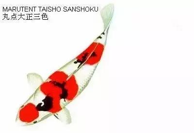 ʷȫĽתˣ