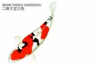ʷȫĽתˣ