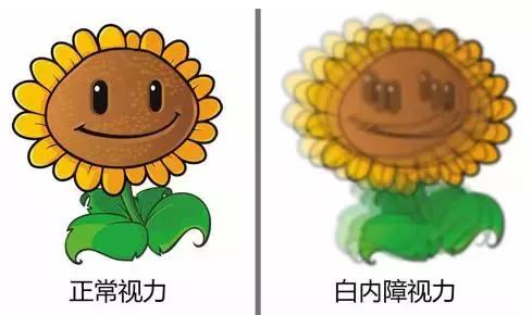 ȫ۾ʹ˵顷ԶϻۣСֶܿ~