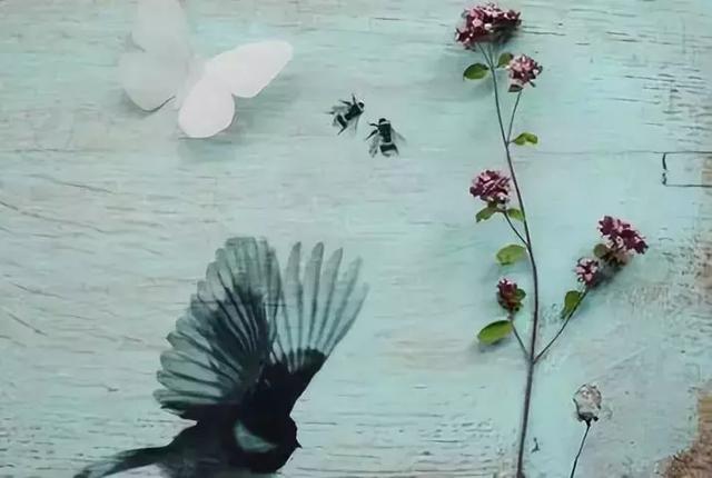 ��������-33��������Ѩ��