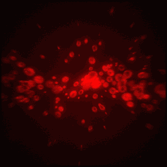 �ձ�9.2��������¶��������ܣ������ٲ����������Լ�����