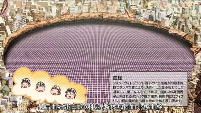 �ձ�9.2��������¶��������ܣ������ٲ����������Լ�����