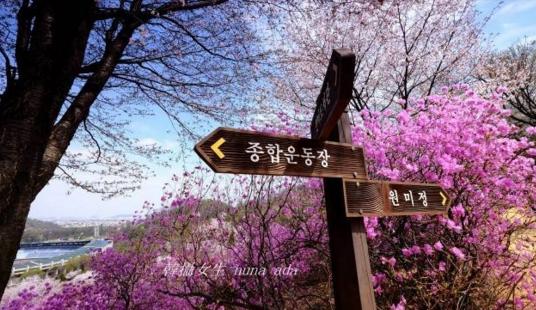 韩国十大城市介绍