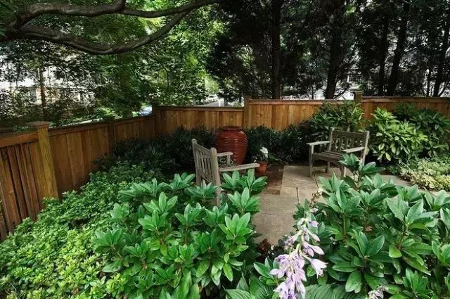 100���������˵�¶̨��԰���ղ�������Ժ��ʱ�ã�