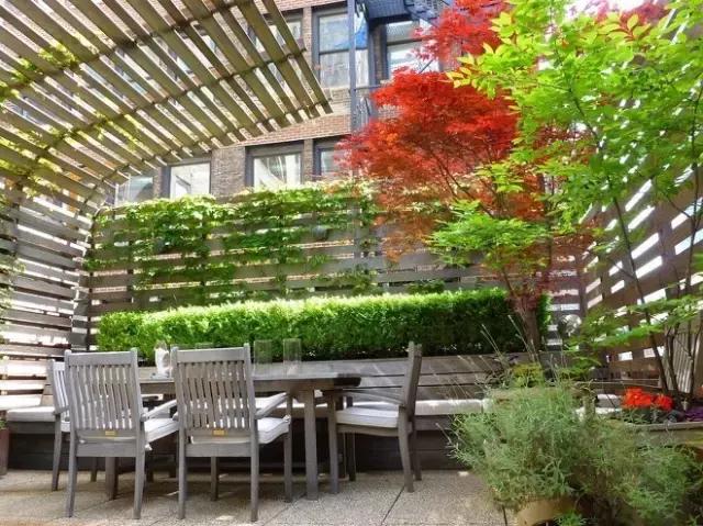 100���������˵�¶̨��԰���ղ�������Ժ��ʱ�ã�