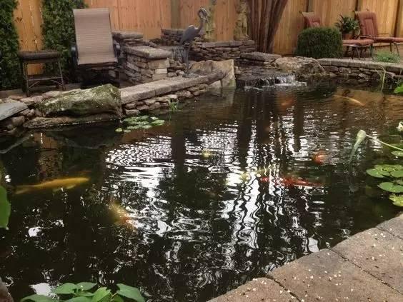 ͥԺ �� ���