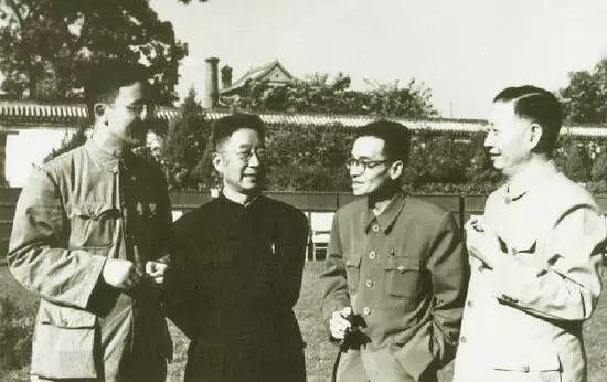 վ�ŵĻ���20��������ϡ�û����ʱ��Ҧ������������Ȧ����������Ƭ��