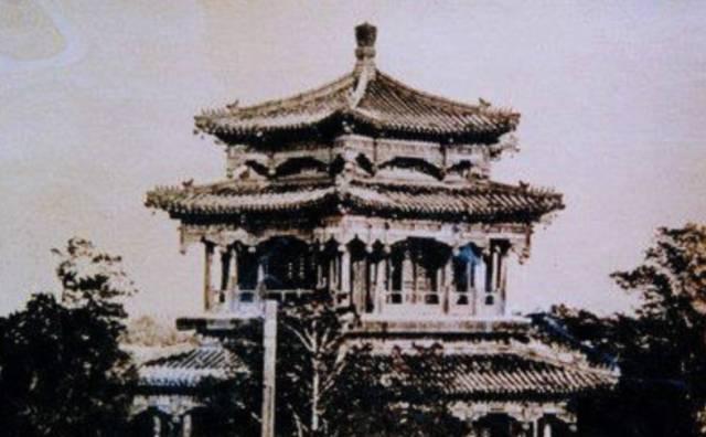 վ�ŵĻ���20��������ϡ�û����ʱ��Ҧ������������Ȧ����������Ƭ��