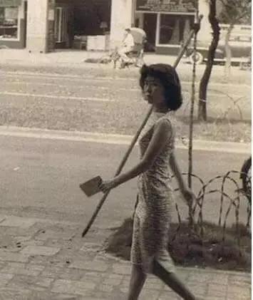 վ�ŵĻ���20��������ϡ�û����ʱ��Ҧ������������Ȧ����������Ƭ��