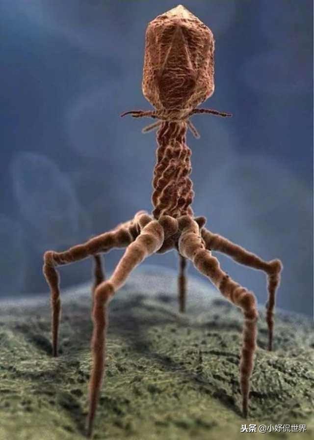 �̿����￴������23������ͼƬ Ҫ�ȿα��������Ȥ�ö�