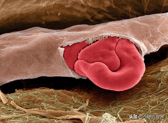 �̿����￴������23������ͼƬ Ҫ�ȿα��������Ȥ�ö�