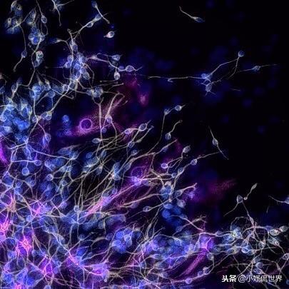 �̿����￴������23������ͼƬ Ҫ�ȿα��������Ȥ�ö�