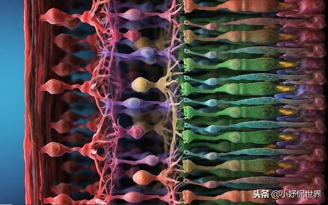 �̿����￴������23������ͼƬ Ҫ�ȿα��������Ȥ�ö�