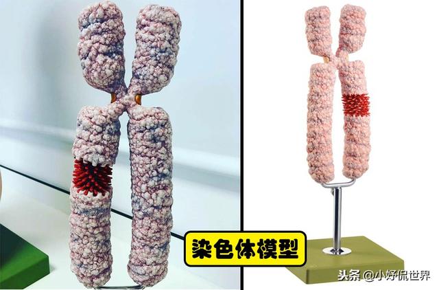 �̿����￴������23������ͼƬ Ҫ�ȿα��������Ȥ�ö�