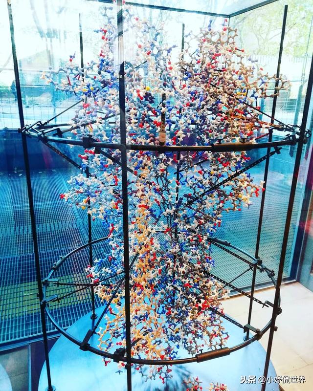 �̿����￴������23������ͼƬ Ҫ�ȿα��������Ȥ�ö�