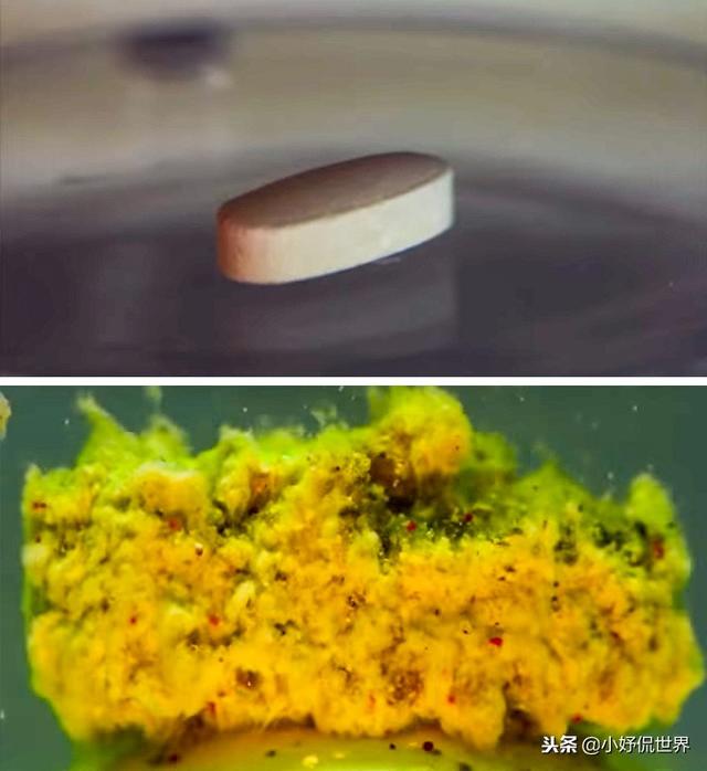 �̿����￴������23������ͼƬ Ҫ�ȿα��������Ȥ�ö�