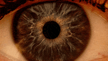 �̿����￴������23������ͼƬ Ҫ�ȿα��������Ȥ�ö�