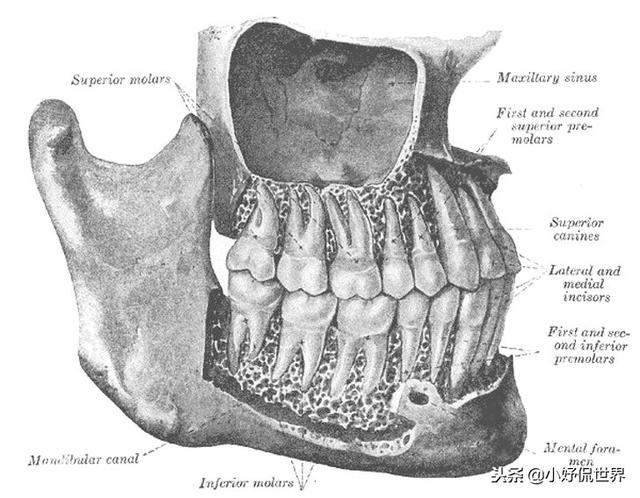 �̿����￴������23������ͼƬ Ҫ�ȿα��������Ȥ�ö�