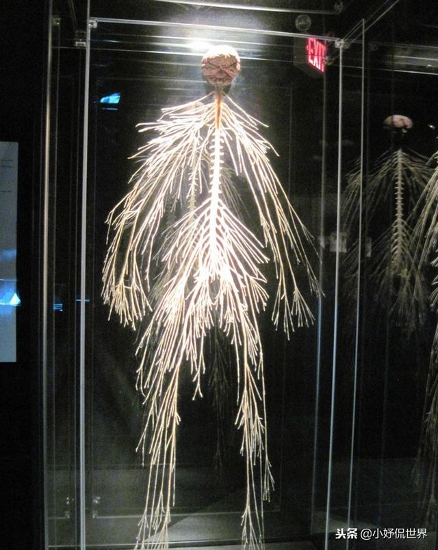 �̿����￴������23������ͼƬ Ҫ�ȿα��������Ȥ�ö�