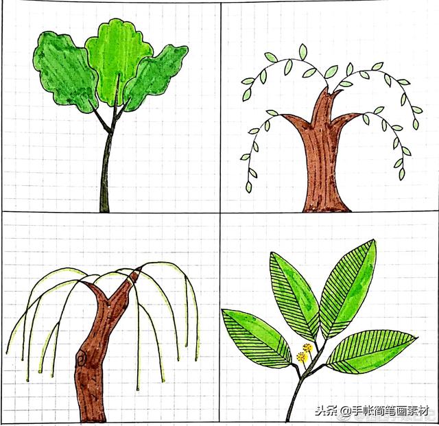小清新风格小树的简笔画~