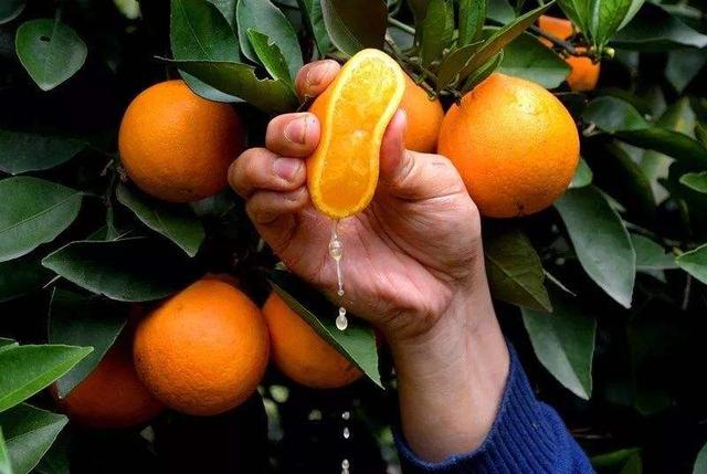 йʡˮһ