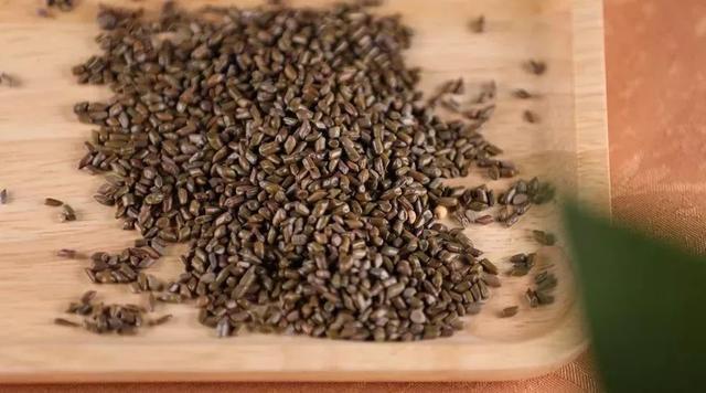 �������죬ֻ��һ�ڣ����ӿ��ԣ��������겻�ٷ���