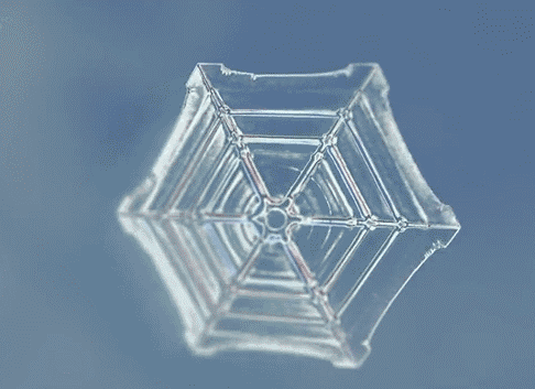 50Ŷͼ߽ѧ磬𺳣
