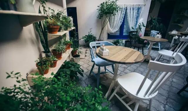 假如,你有个院子……