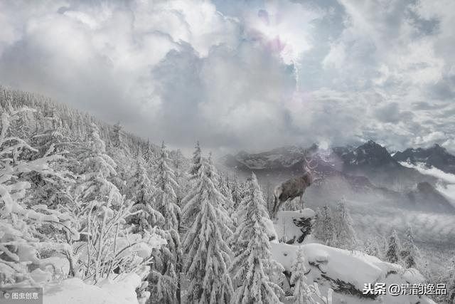 һ�������ꡰ�����徭����������������