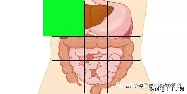 һŸͼ˽⸹ʹ