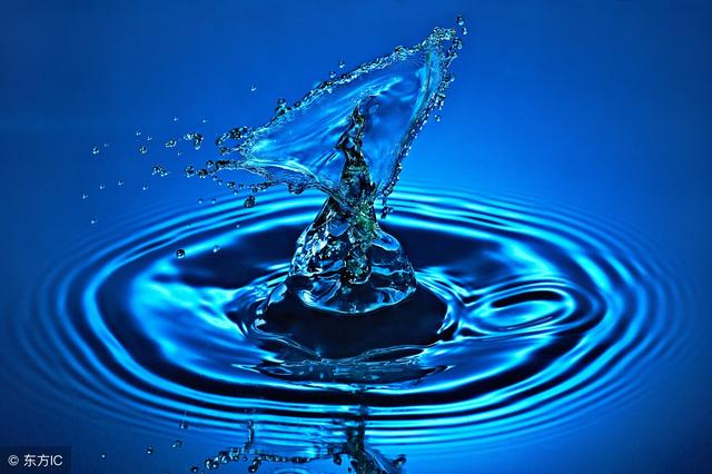 42��֪ʶ�㣬��ֻ֪���ܶ����ﶼ�Ҳ���������֪ʶ