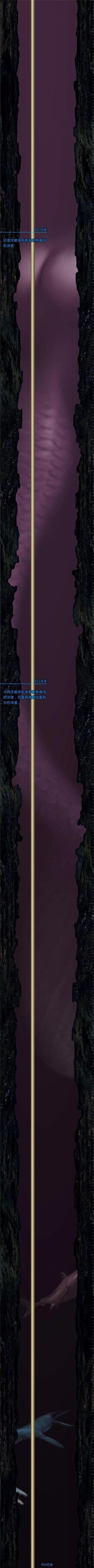 Ǳ ֲϢҿ