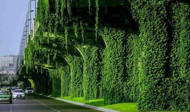 Ϊʲô���и߼���Ҫ����ɽ���������������ʦ����������