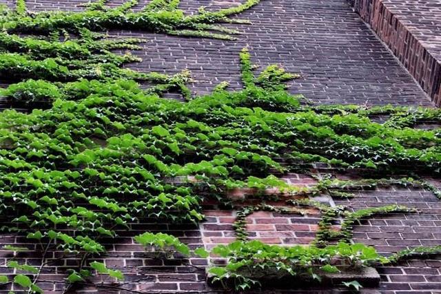 Ϊʲô���и߼���Ҫ����ɽ���������������ʦ����������