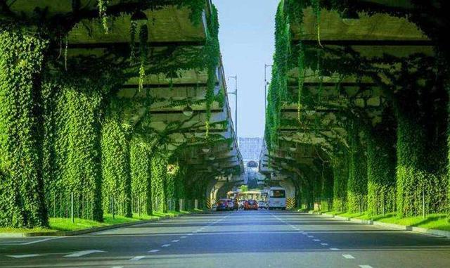 Ϊʲô���и߼���Ҫ����ɽ���������������ʦ����������