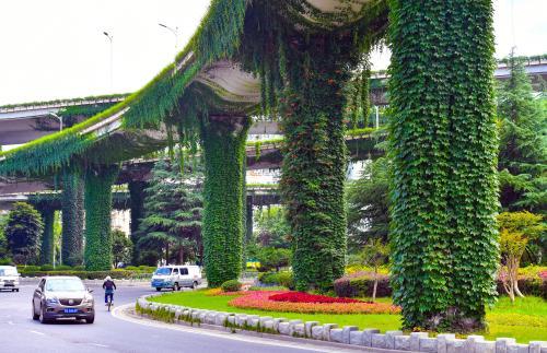 Ϊʲô���и߼���Ҫ����ɽ���������������ʦ����������