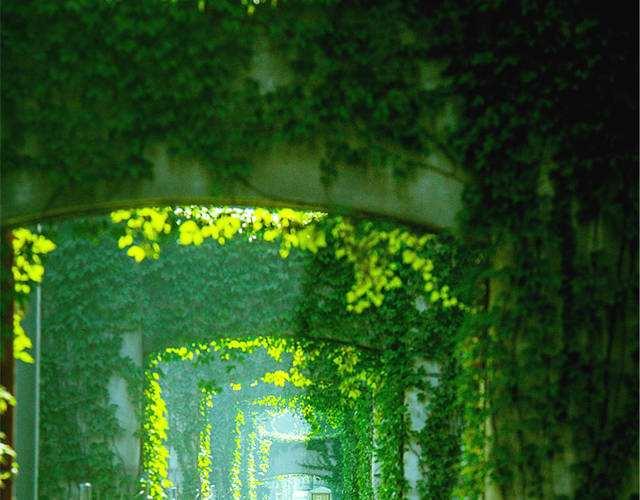 Ϊʲô���и߼���Ҫ����ɽ���������������ʦ����������