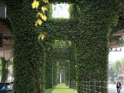 Ϊʲô���и߼���Ҫ����ɽ���������������ʦ����������