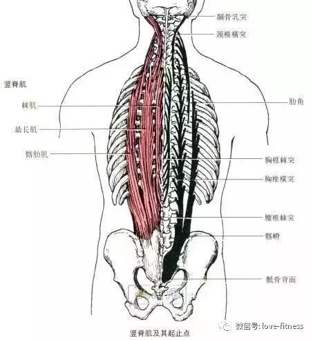 ֻ֪غΣ鼡һҪǿ