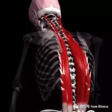 ֻ֪غΣ鼡һҪǿ