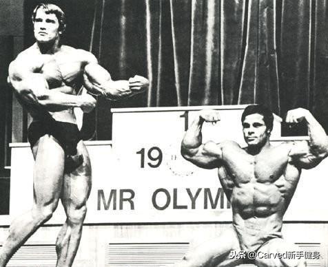 ʩ����������������