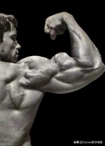 ʩ����������������