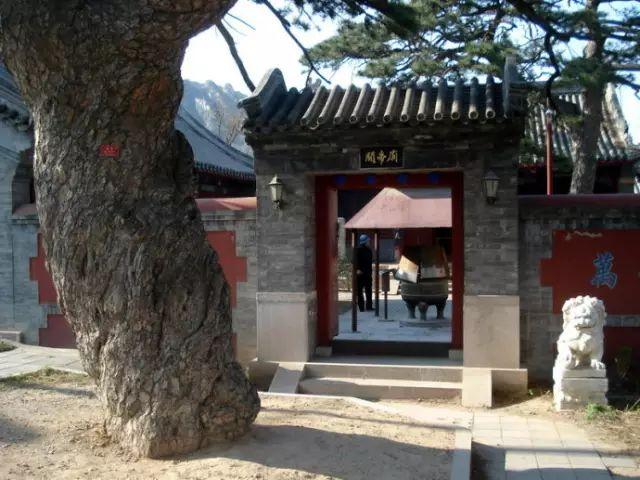 뱱ĹŴ䣬ɽҰӻɾ