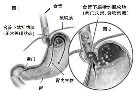 �������ġ�������ܷ�չ�ɡ�������Զ��6��ʳ��θ���л��