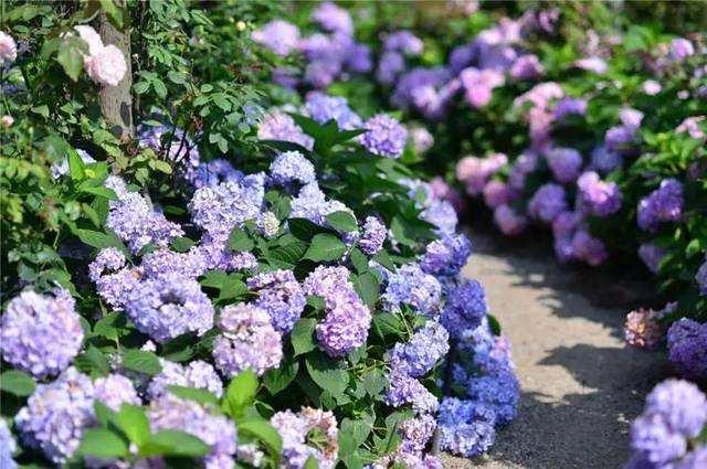 �ɶ�ȫ���ԣ���ˣ�����������̵��츮���󾰵�