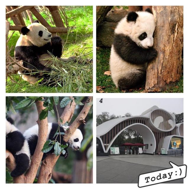 �ɶ�ȫ���ԣ���ˣ�����������̵��츮���󾰵�